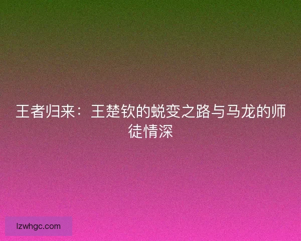王者归来：王楚钦的蜕变之路与马龙的师徒情深